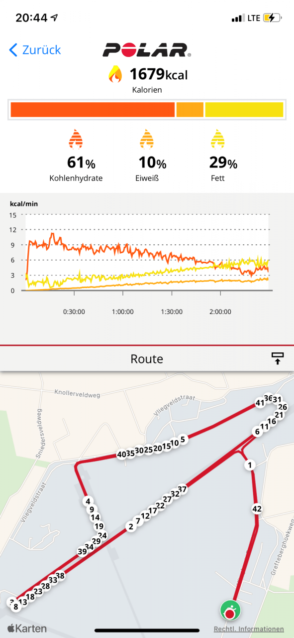 Polar Flow App _  Energiebereitstellung aus Kohlenhydraten, Fetten und Eiweißen beim Marathon (Laura Hottenrott)