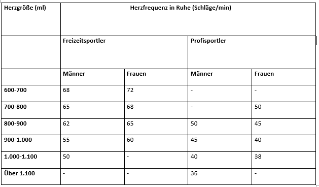 Durchschnittliche Ruheherzfrequenz und Herzgröße bei Männern und Frauen mit unterschiedlicher Leistungsfähigkeit