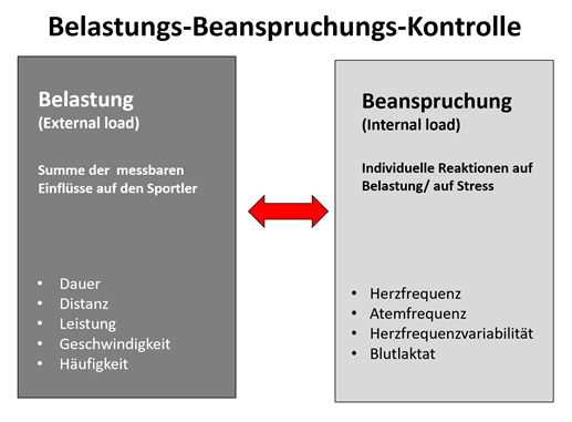 Grafik Belastungs- Beanspruchungskontrolle -Trainingssteuerung 