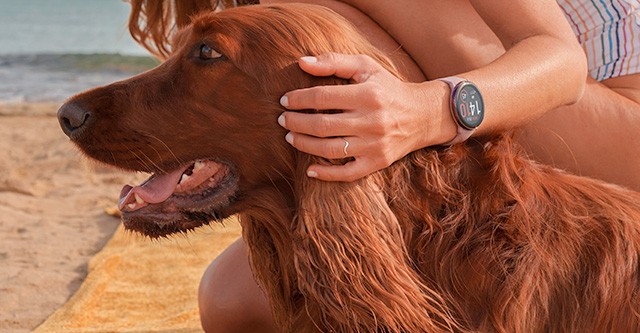 Frau mit Hund - Energielevel steigern