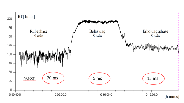 Verlauf der Herzfrequenz und der RMSSD-Werte vor, während und nach einer 5-minütigen intensiven Laufbelastung (eigene Daten) - Herzratenvariabilität