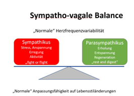 Sympatho-vagale Balance-Herzratenvariabilität