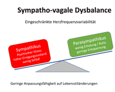 Sympatho-vagale Dysbalance-Herzratenvariabilität