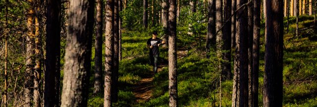 Trailrunner auf einem Trail - Trail Running für Anfänger:innen