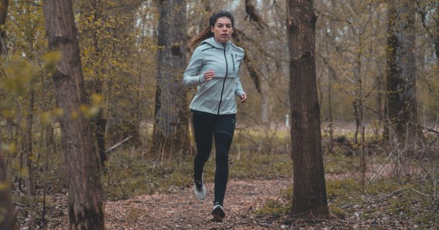 daphenmerlevedecoachingproject 