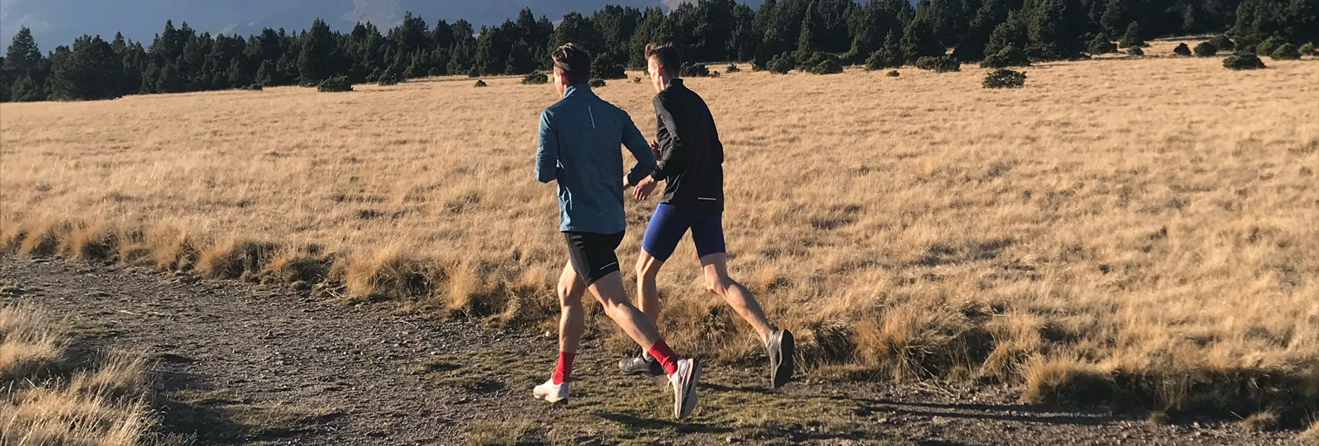 mikefoppen_trainingsstage