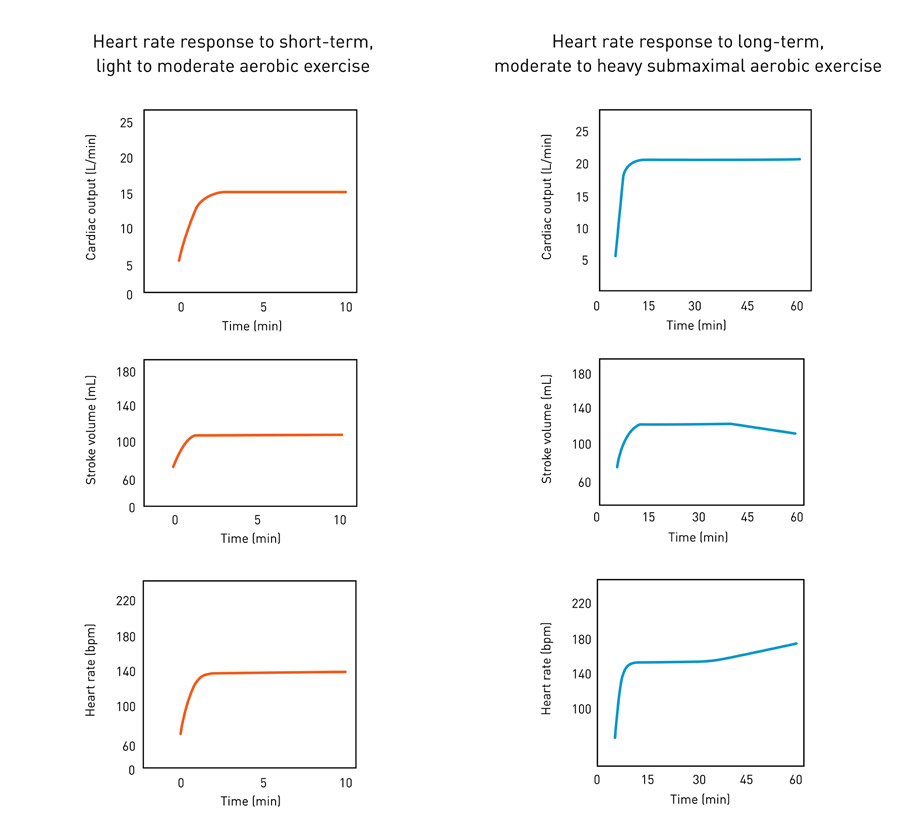 Post Exercise Heart Rate Chart