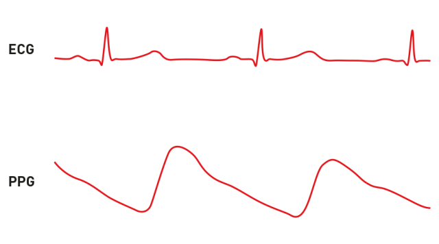 Polar_ECG_PPG