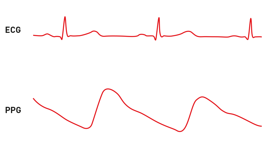 polar h10 ecg app