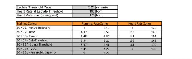 VO2 max test