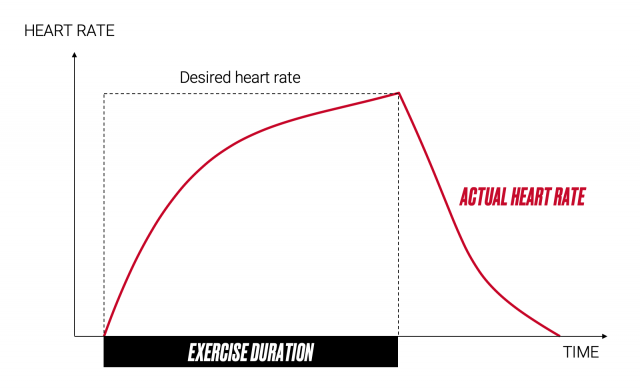 Heart rate during exercise - power vs heart rate