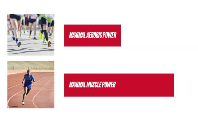 Maximal aerobic power vs maximal muscle power -power vs heart rate