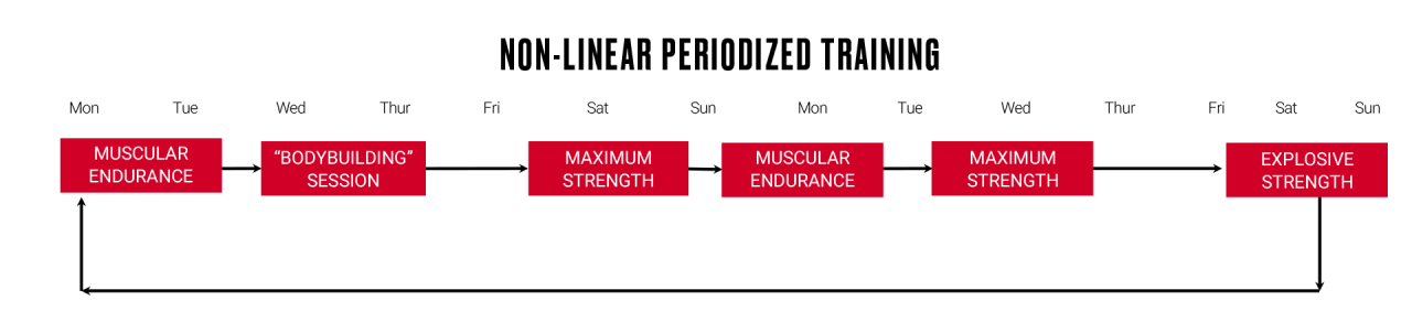 Non-linear periodized training - Strength Training for Endurance Athletes