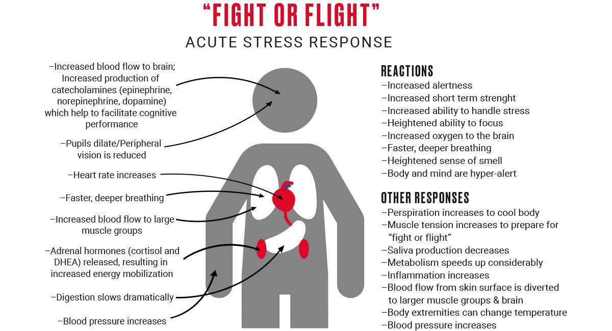 Acute stress response