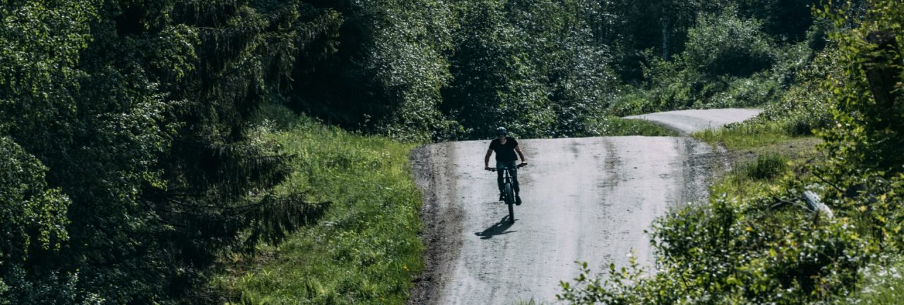 Bicicleta eléctrica