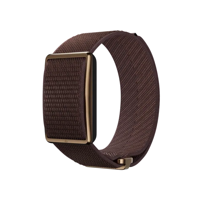 POLAR Loop
