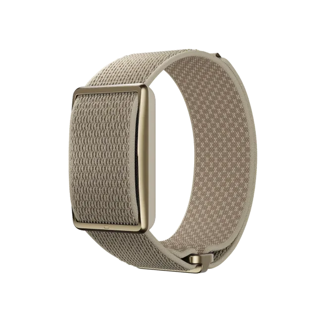POLAR Loop