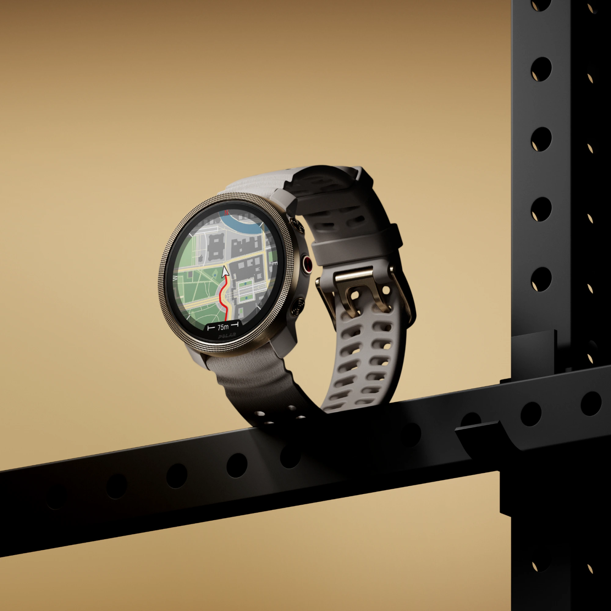 Polar vantage small best sale