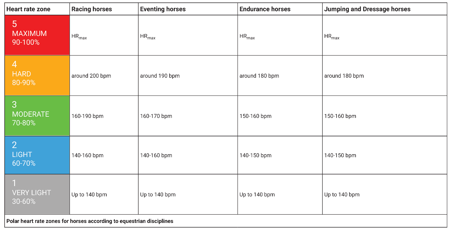  Polar heart rate zones for horses