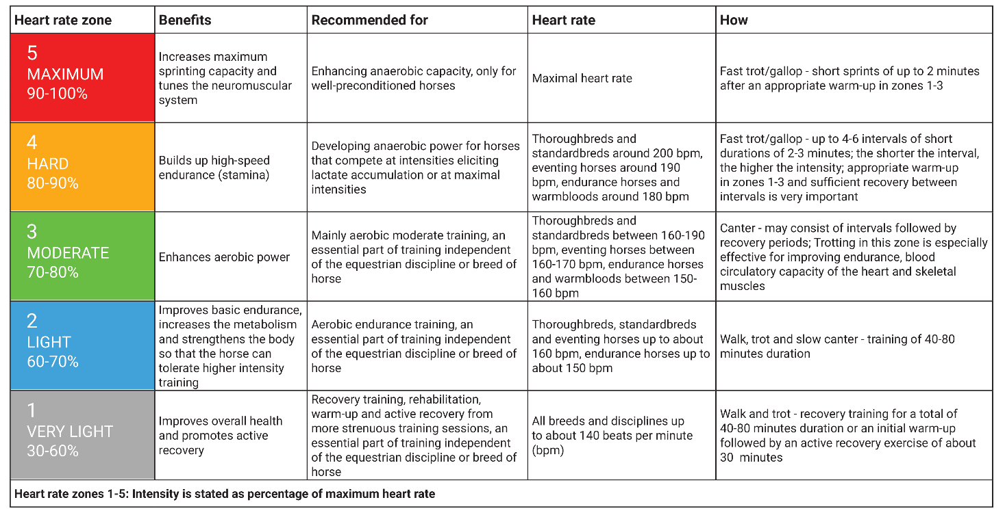 Polar heart rate zones for horses 